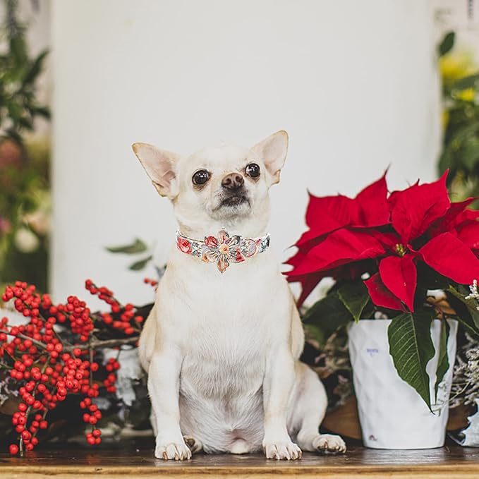 Elegant Little Tail Vintage Floral Dog Collar with Flower, Comfortable Adjustable Dog Collars for Small to Large Dogs