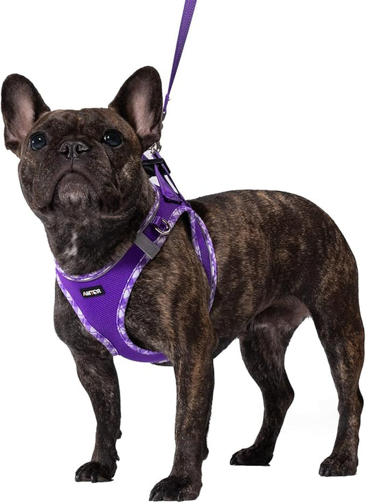 AMTOR Small Dog Harness with Leash Set, No Escape Easy Walk Puppy Harnesses for Training Walking, Step-in Reflective Soft Dogs Vest for XS S Medium Extra-Small Large Sized Dog(Purple,M)