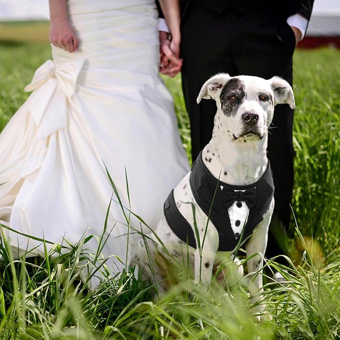 Kuoser Dog Tuxedo Harness, Adjustable Pet Harness No Pull for Small Medium Dogs, Doggie Wedding Suit with Bow Tie Party Costume