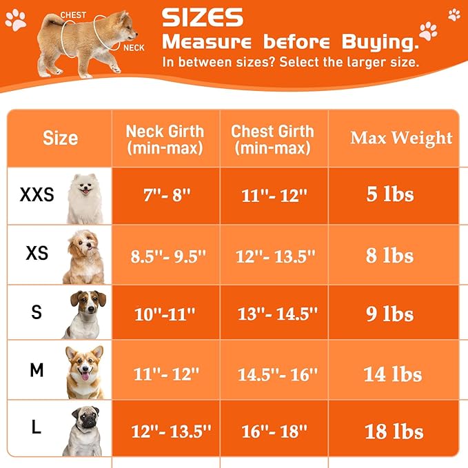 Soft Mesh Dog Harness and Leash Set, No Pull Puppy Harness and Leash Set, Reflective Step in Harness for Small Medium Dogs, Easy Walk Escape Proof Vest Harnesses (Orange, XS)