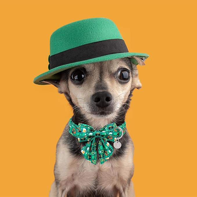 St. Patrick's Dog Collar with Bow Tie, Cotton St. Patrick's Bowtie Collar for Girl Boy Dog, Lucky Shamrock Dog Collar with Metal Buckle, Green, Spring, XS