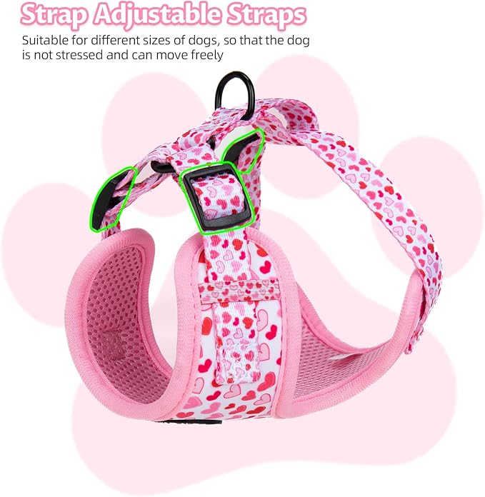 Dog Harness and Leash Set, Adjustable Dog Harness, Dog Leash, No Pull No Choke Puppy Harnesses for Walking Training for Small, Medium, Large Pet (Little Love, L(Chest 19.6-28", Neck 15.7-21.1"))