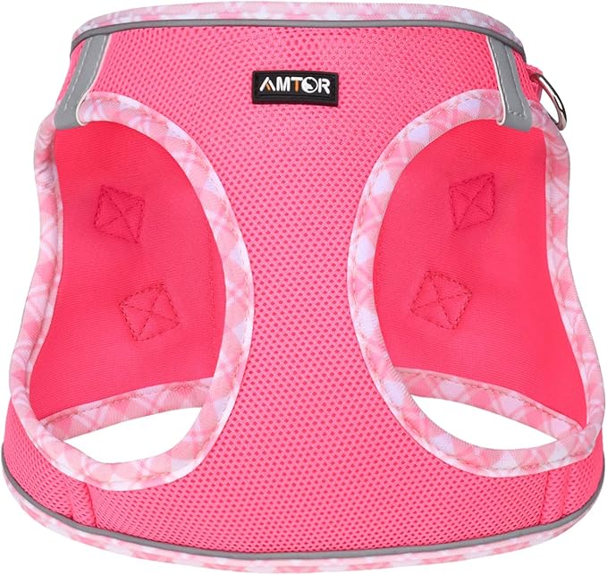 AMTOR Small Dog Harness with Leash Set, No Escape Easy Walk Puppy Harnesses for Training Walking, Step-in Reflective Soft Dogs Vest for XS S Medium Extra-Small Large Sized Dog(Fuchsia,L)
