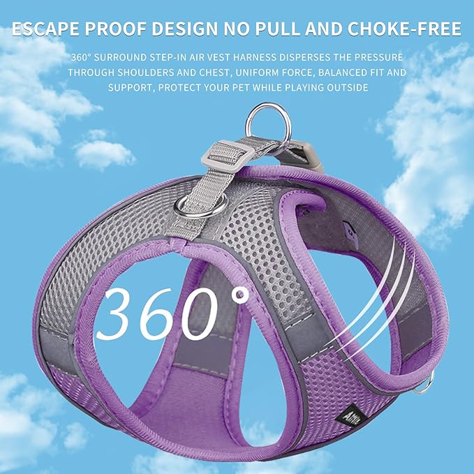 AIITLE Dog Harness, Spring No-Pull Cat Harness with a Leash, Adjustable Reflective Dog Vest, Cat Harness Escape Proof, Outdoor Walking, Camping for Extra Small Dogs and House Cats Purple XXXS