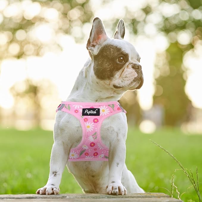 PUPTECK Dog Harness and Leash Set for Small Medium Dogs No Pull Step-in Soft Mesh Puppy Cat Vest Harnesses Reflective at Night, Pink Floral, S
