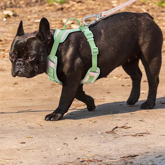 No Pull Dog Harness Adjustable Soft Padded Pet Vest with Control Handle Adorable Daily Harness for Dogs（Gossamer Pink XS）