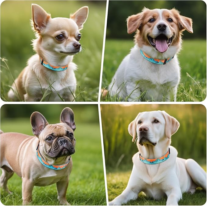 Timos Dog Collar, Adjustable Soft Dog Collar for Small Medium Large Dogs, Patterned Puppy Collars with Quick Release Buckle for Boy and Girl Female Dogs,XS Length 8.5''-11''