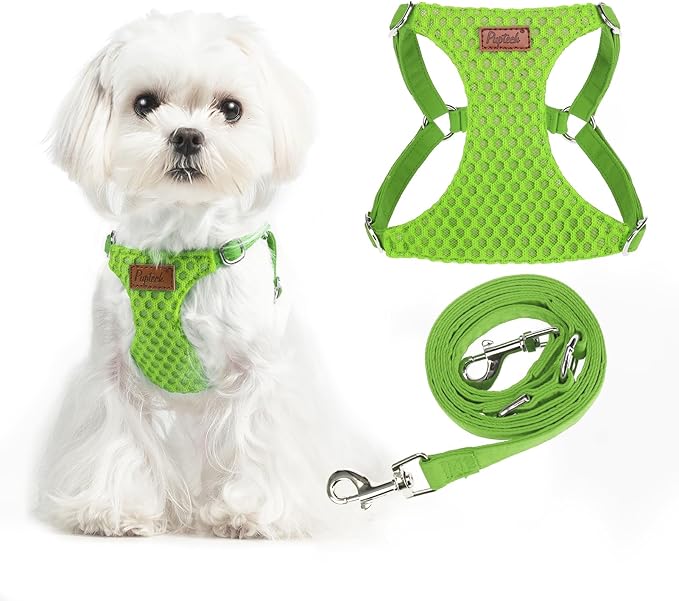 PUPTECK Dog Harness and Leash Set Small Sized, Step-in Cute Puppy Harness, Soft Lightweight Padded Vest, Escape Proof No Pull Pet Harnesses Easy for Walking, Green, XS