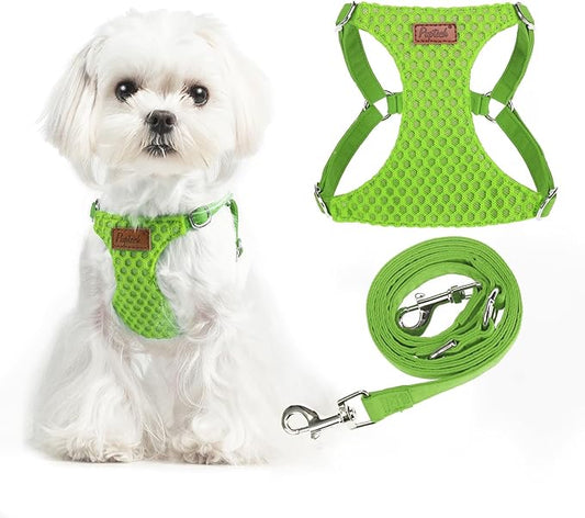 PUPTECK Dog Harness and Leash Set Small Sized, Step-in Cute Puppy Harness, Soft Lightweight Padded Vest, Escape Proof No Pull Pet Harnesses Easy for Walking, Green, XS