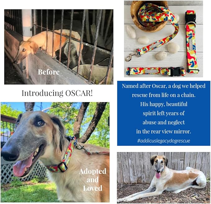 Lucky Love Dog - Adjustable Dog Collar and Leash Set with Easy Click Buckle for Small to Large Dogs, Durable, & Comfortable Collar for Male & Female Dogs, Puppies & Adult Ones - Oscar Combo, Small