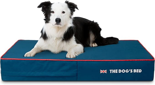 The Dog’s Bed Orthopedic Memory Foam Dog Bed, Large Blue Oxford with Red Trim UK Flag 40x25, Pain Relief for Arthritis, Hip & Elbow Dysplasia, Post Surgery, Supportive, Calming, Waterproof Washable
