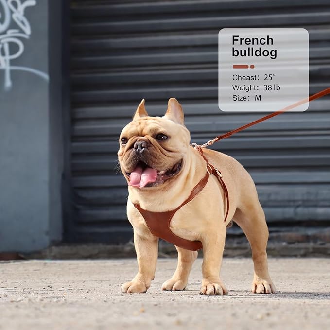 Didog Small Dog Harness and Leash Set, Soft & Lightweight Dog Vest Harness, Adjustable Leather Dog Harness for Small Medium Dogs, Brown, M