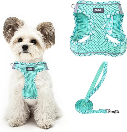 PUPTECK Dog Harness and Leash Set for Small Medium Dogs No Pull Step-in Soft Mesh Puppy Cat Vest Harnesses Reflective at Night, Upgraded New Green S