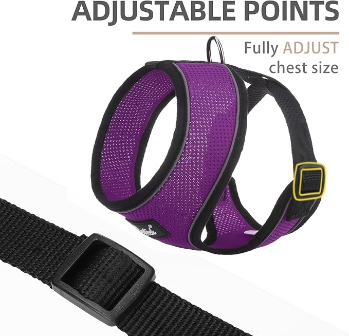 PUPTECK Soft Mesh Dog Harness and Leash Set Pet Puppy Cat Comfort Padded Vest No Pull Harnesses, Solid Purple, M
