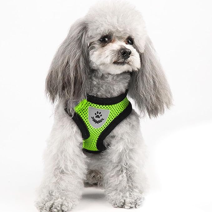 shudyear Dog Walking Chest Harness and Leash, Anti-Escape Adjustable Soft Mesh Dog Leash and Harness Set for Small Dog and Puppies, Vest for Medium Sized Dogs (Green, XL)