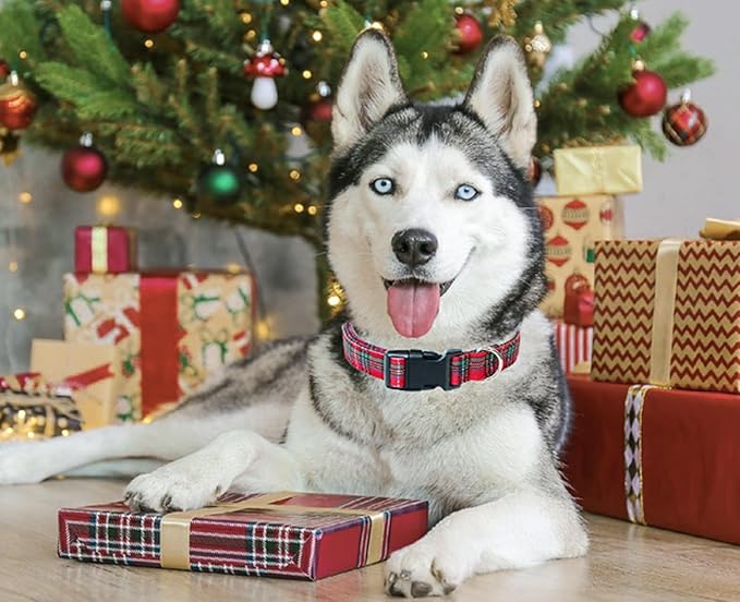 Tunkoo Christmas Classic Plaid Collar Premium Cotton Puppy Collar - Adjustable Collar with Strong Plastic Bucle Gifts for Small Medium Large Girls Boys Dogs, M
