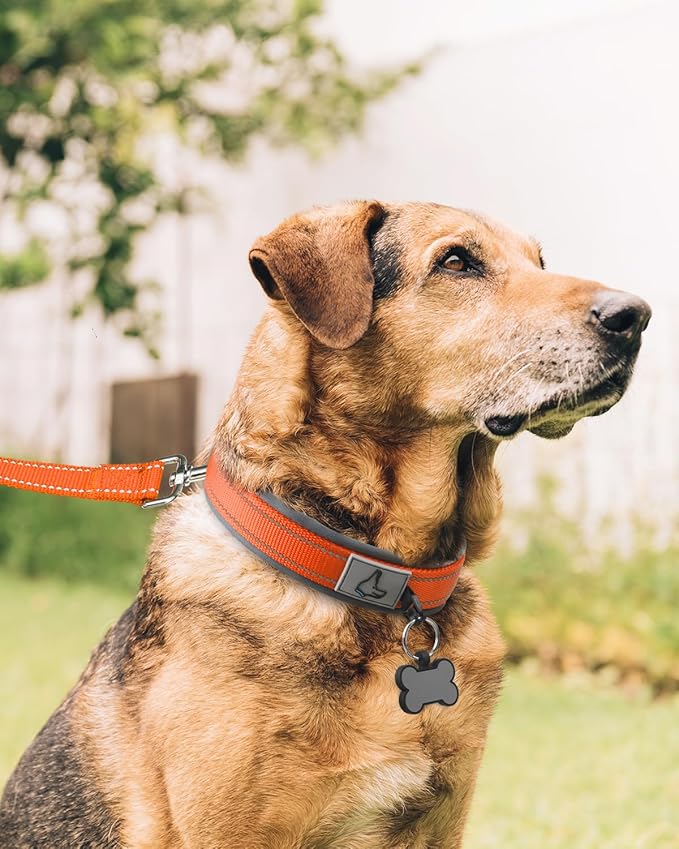 Joytale Dog Collar for Extra Large Dogs, Neoprene Padded and Adjustable, Reflective Wide Heavy Duty Pet Collars with Durable Metal Belt Buckle for Walking, Orange, XL