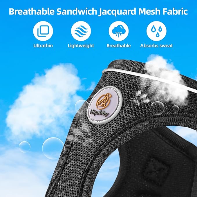 Dog Harness and Leash Set, No Pull Soft Mesh Pet Harness for Small Medium Dogs, Cats - Step in Adjustable Reflective Puppy Harness with Buckle and Double D-Rings - Black, S