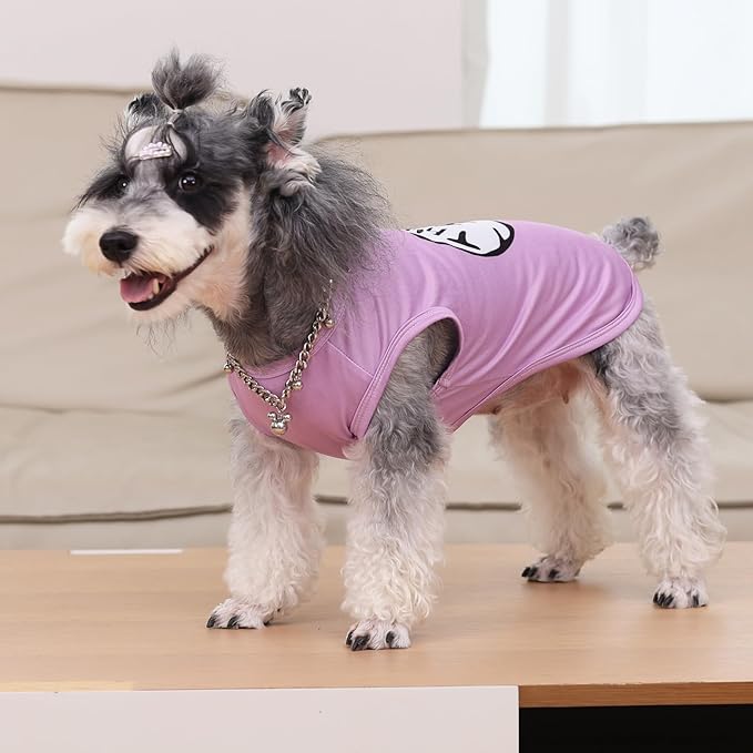 CuteBone Dog Shirts 2-Pack Soft Pet Clothes Breathable Summer Vest for Small Puppy and Stretchy Cat Apparel 2BX21XS-D