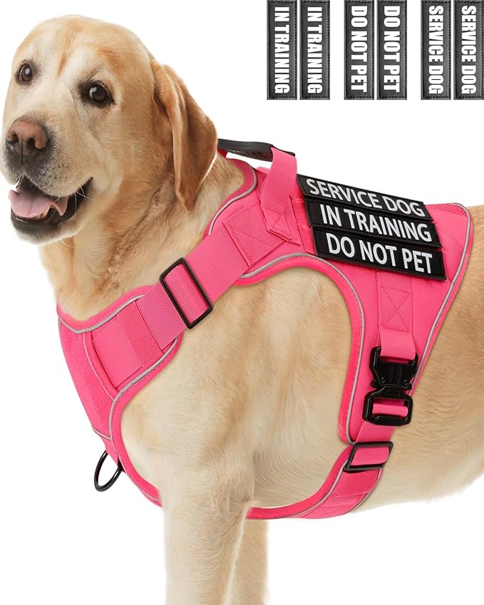 Pink Service Dog in Training Vest Harness for Medium Large Dogs, Reflective Adjustable Heavy Duty Padded Dog Harness, with Front Clip and Metal Buckles Do Not Pet for Training, Hiking