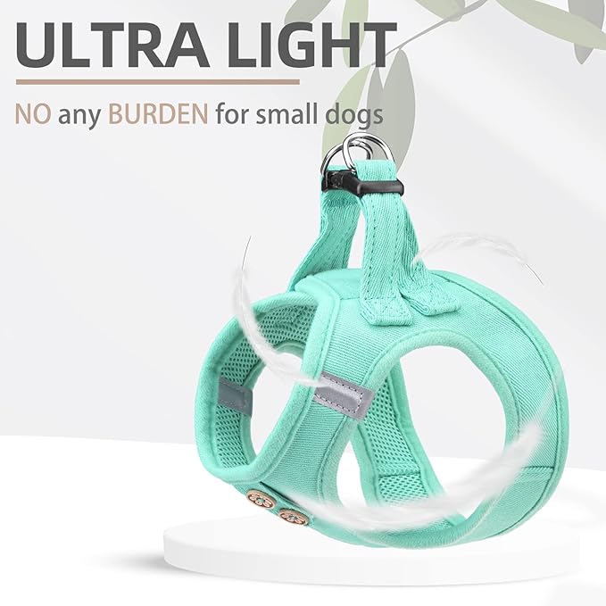 PUPTECK Dog Harness and Leash Set for Small Medium Dogs No Pull Step-in Soft Mesh Puppy Cat Vest Harnesses Reflective at Night, Denim Green M