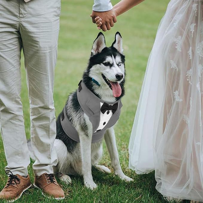 Kuoser Tuxedo Dog Harness, Adjustable No Pull for Small Medium Dogs, Wedding Suit with Bow Tie Party Costume, Gray XXS