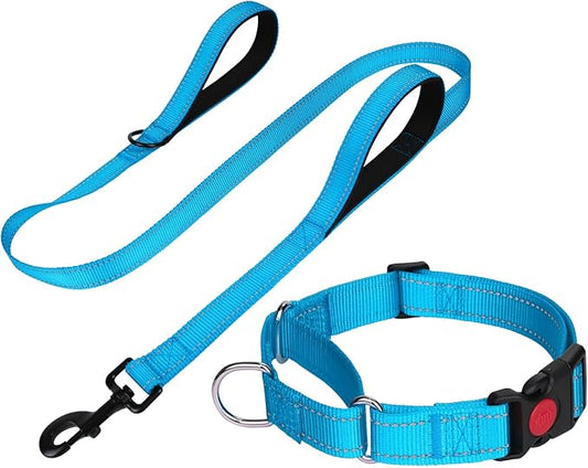FunTags Reflective Martingale Collar for Dogs, Quick Release Buckle, 5FT Double Handle Dog Leash Padded, Dog Collar and Leash Set, Adjustable for Medium Dogs (Sky Blue, M)