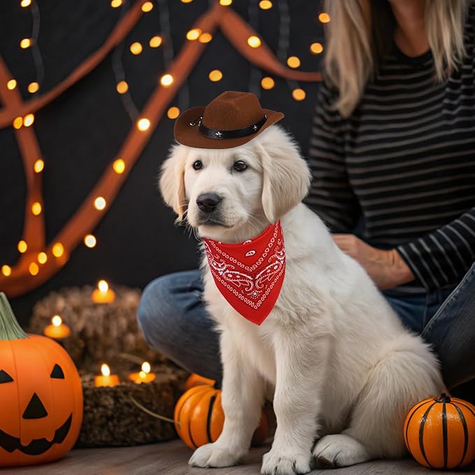 PUPTECK Paisley Dog Bandana Outfit Scarf with Cute Doggy Cowboy Hat, Halloween Costume Decorations Supplies for Small Medium Large Dogs Boy Girl Gifts, Brown & Red