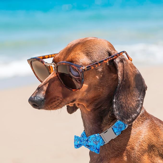 Maca Bates Shark Dog Collar with Breakaway Bow Tie Boetie Puppy Collar with Metal Buckle Cute Pink Adjustable Wide Soft for Small Medium Large Dogs for Girl Boy Pets