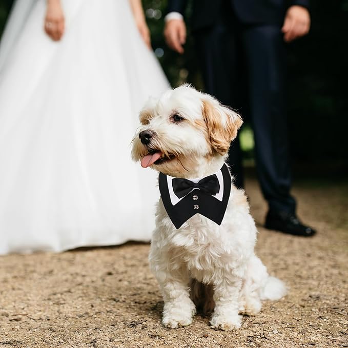 ADOGGYGO Dog Tuxedo, Wedding Birthday Dog Bowtie Collar, Pet Tux Bandana Collar for Extra Small Pets (Black, X-Small)