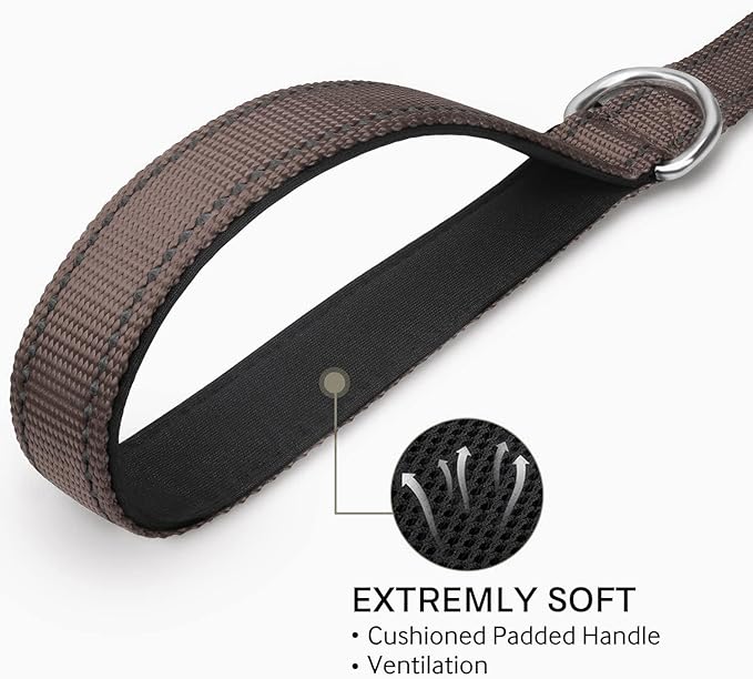 Joytale Double-Sided Reflective Dog Leash, 6 FT/5 FT/4 FT, Padded Handle Nylon Heavy Duty Leashes for Medium & Large Dogs Walking, Brown, 4FT