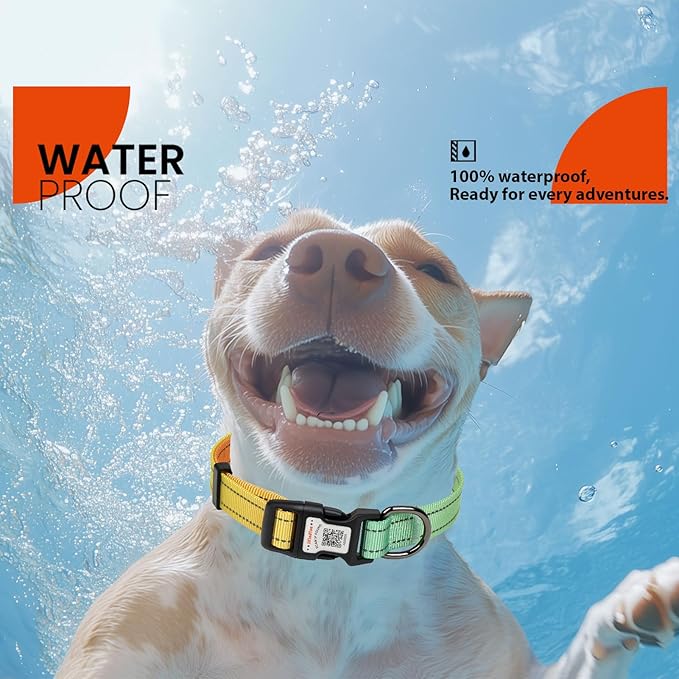 Reflective Dog Collars for Puppy Soft Nylon Green-Orange Gradient Sized XS