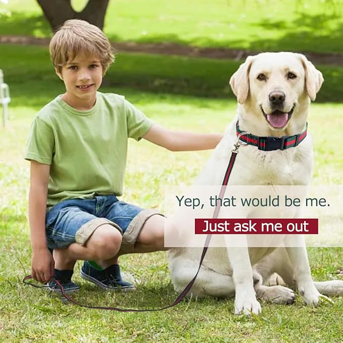 Elegant Luxury Dog Collar and Leash Set - Soft, Durable Collars and Leashes for Large Dogs