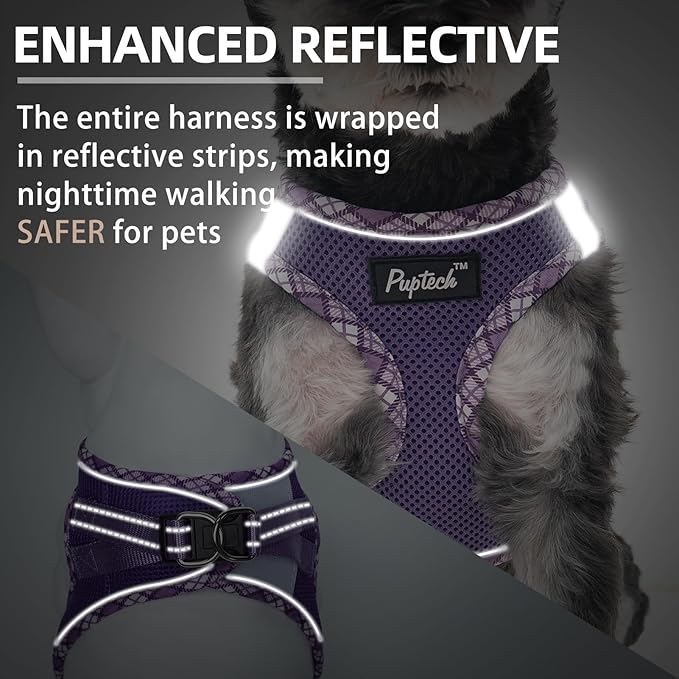 PUPTECK Dog Harness and Leash Set for Small Medium Dogs No Pull Step-in Soft Mesh Puppy Cat Vest Harnesses Reflective at Night, Upgraded New Purple XS