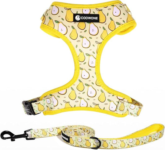Dog Harness and Leash Set, Adjustable Dog Harness, Dog Leash, No Pull No Choke Puppy Harnesses for Walking Training for Small, Medium, Large Pet