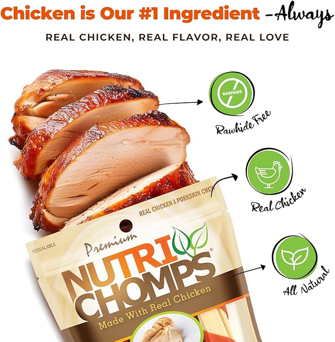 NutriChomps Dog Chews, 6-inch Twists, Easy to Digest, Rawhide-Free Dog Treats, 4 Count, Real Chicken flavor