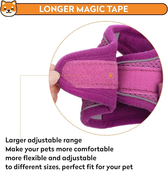 Dog Harness with Leash Set, No-Pull Step-in Reflective Pet Harness with 1 Leash Clips, Adjustable Soft Padded Easy Walk Dog Vest for Small Medium Large Dogs, Cats(Rose Red, XXSmall)