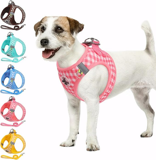 Gyuzh Dog Harness and Leash Set,Soft Mesh Breathable Small Dog Harness,Reflective Adjustable Puppy Harness,No Pull Pet Harness for Small Dogs and Cats