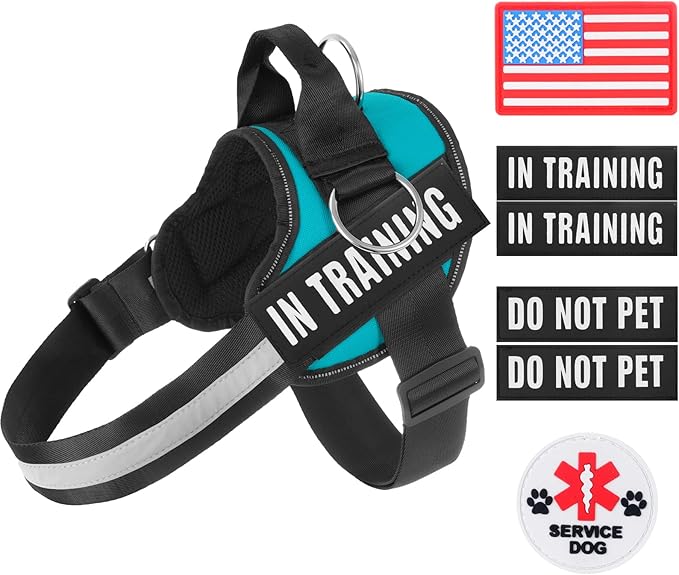Essential Dog Harness, No Pull Pet Harness with 3 Side Rings for Leash Placement, No Choke, Reflective, Adjustable Pet Vest, Easy On-Off & Improved Control Handle, Training, Walking, Running