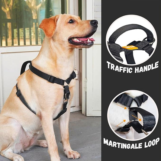 DF Martingale No Pull Dog Harness and Two Point Control Training Leash for Dog Walking Only Works with Martingale Harnesses, Black, Chest 19"-22"