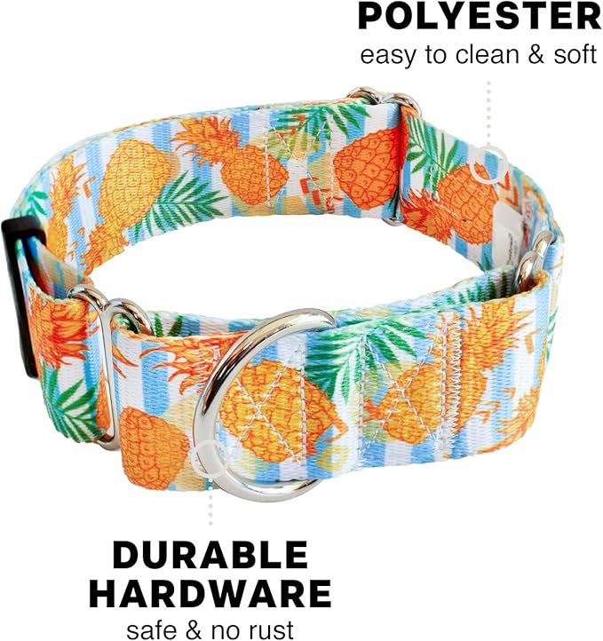 Downtown Pet Supply - Martingale Collar for Dogs - Dog Training Collar - Big, Wide & Thick Dog Collar - Escape-Proof, Weatherproof, Durable and Comfortable - Pineapple - Medium Dog Collar