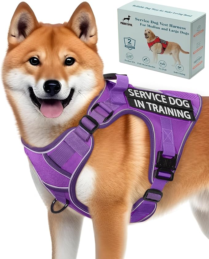 Reflective Purple Service Dog in Training Vest Harness for Medium Dogs, Adjustable Heavy Duty Padded Dog Harness, with Front Clip and Metal Buckles Do Not Pet for Training, Hiking