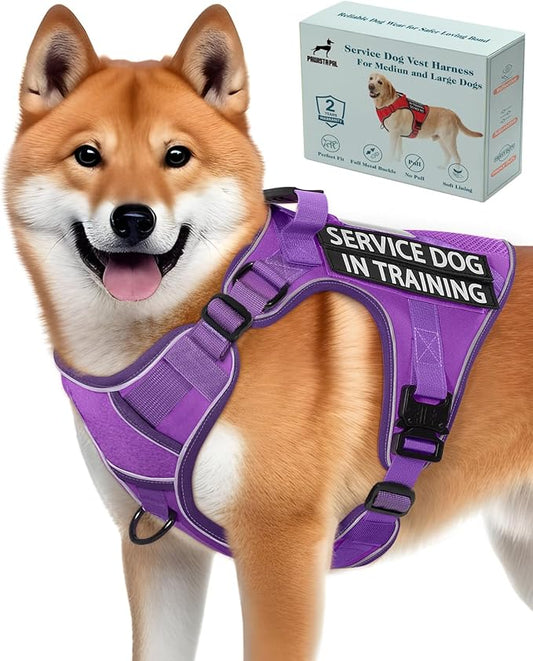 Reflective Purple Service Dog in Training Vest Harness for Medium Dogs, Adjustable Heavy Duty Padded Dog Harness, with Front Clip and Metal Buckles Do Not Pet for Training, Hiking