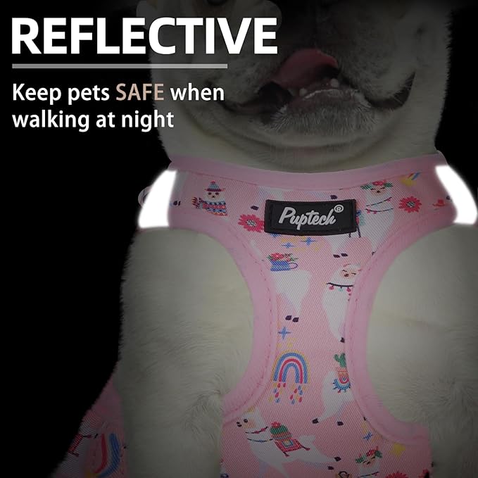 PUPTECK Dog Harness and Leash Set for Small Medium Dogs No Pull Step-in Soft Mesh Puppy Cat Vest Harnesses Reflective at Night, LightPink Print, M