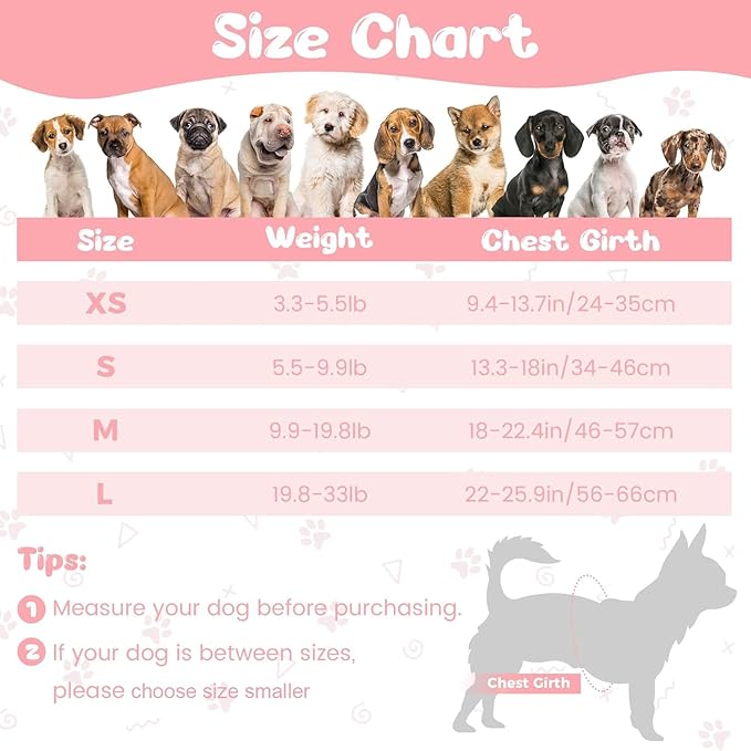 Dog Harness and Leash Set with 2 Flower Patches, No Pull Adjustable Puppy Harness, Step in No Chock Dog Vest for Small Medium Dogs Puppy and Cats(Pink, M)