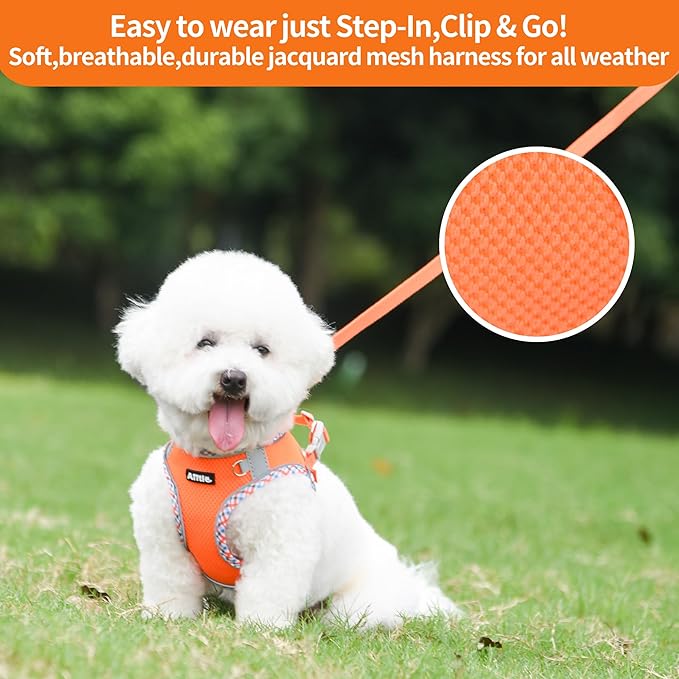 AIITLE Dog Harness and Leash Set - Ultra-Comfortable XXS-XL Vest with Strong Velcro & Glow-in-Dark Reflective Strips, Chafe-Free for Teddy, Schnauzer (Orange, M)