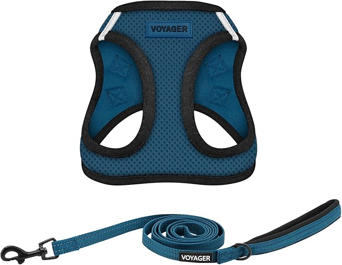 Voyager Step-in Air All Weather Mesh Harness and Reflective Dog 5 ft Leash Combo with Neoprene Handle, for Small, Medium and Large Breed Puppies by Best Pet Supplies - Blue, XX-Small