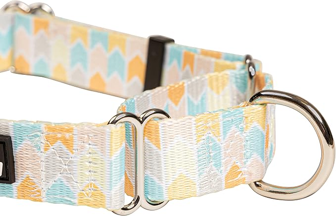 Downtown Pet Supply - Martingale Collar for Dogs - Dog Training Collar - Big, Wide & Thick Dog Collar - Escape-Proof, Weatherproof, Durable and Comfortable - Chevron - Medium Dog Collar