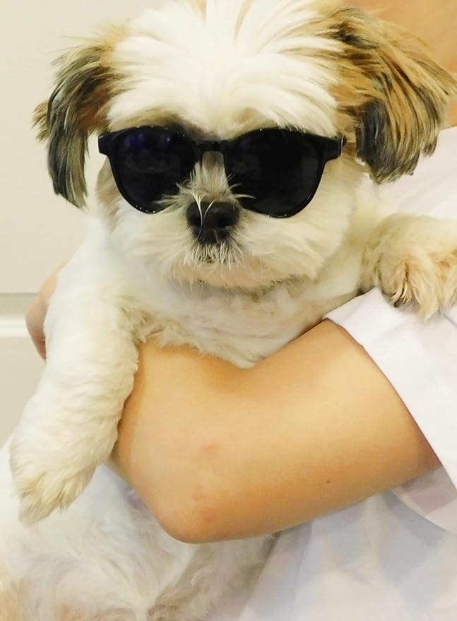 G014 Small Breed up to 15lbs Dog Cat Pet Puppy Panto Round Sunglasses (Panto Black)