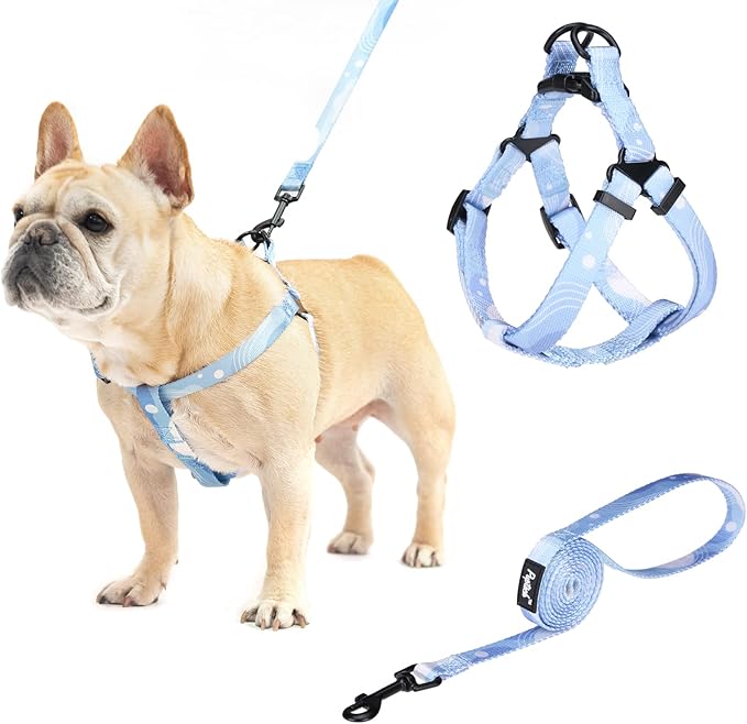 PUPTECK No Pull Dog Harness Soft Adjustable Basic Nylon Step in Puppy Vest Outdoor Walking with Leash Medium Printed Babyblue